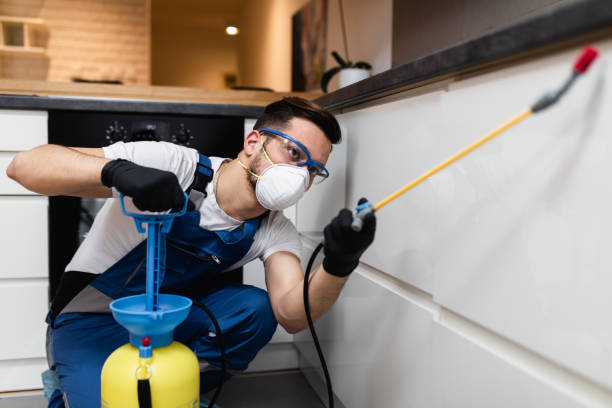 Professional Pest Control in Bushland, TX