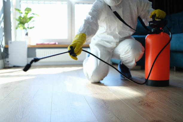 Reliable Bushland, TX Pest Control Solutions