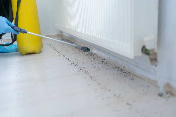 Best Pest Removal Services  in Bushland, TX